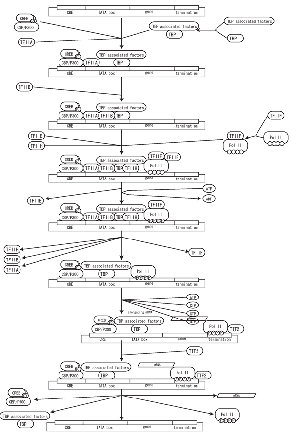 Fig.14