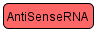 Antisense RNA (SBGN Viewer)