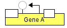 Gene