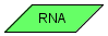 RNA (CD)