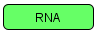 RNA (SBGN Viewer)