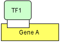 Complex (No Border)