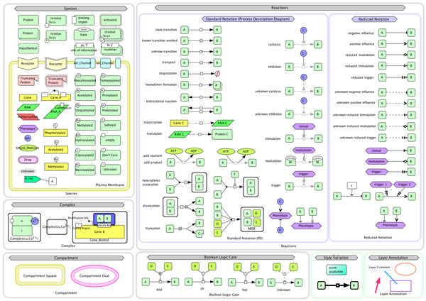 CellDesigner 4.2 graphical notation