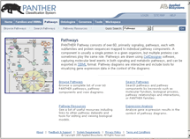 PANTHER classification System
