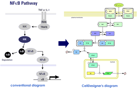 payway diagram comparison